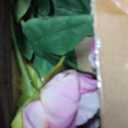 Briful 3PCS Peonies Artificial Flowers 24'' Faux Silk Flowers Spray Real Touch Fake Flowers Bouquet for Home Floral Arrangements Centerpiece Wedding Vintage Decor(pink)