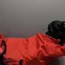 Christmas Tree Storage Bag, Fits Up 10 Ft Tall Artificial Trees-Heavy Duty Holiday Storage Box with Durable Reinforced Handles & Zipper & Transparent Pocket- 600D Oxford Tree Storage Container, Red