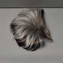 Short Grey Mix Brown Womens Wig with Bangs Pixie Cut Layered Fluffy Hair Synthetic Wigs for Daily Use