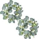 LSKYTOP 2 Pcs Eucalyptus Faux Kitchen Cabinet Artificial Greenery Farmhouse Wreath for Door Wall Window Decor, 9Inch/PC