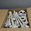 Lodou 5.4Ft Posable Life Size Human Adult Skeletons Plastic Human Bones with Movable Joints for Halloween Decoration