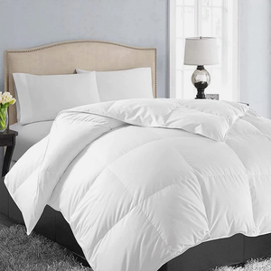 Easeland King Size Soft Quilted Down Alternative Comforter White 90 x 102 in