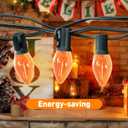 2 x C7 LED Christmas Lights, 12FT Black Wire with 12 Orange Vintage Bulbs, Outdoor Indoor Hanging Lights for Porch, Garden, Backyard, Balcony, Holiday Party Dcor
