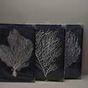 Large Framed Coral Wall Art - Navy Blue Coastal Wall Decor Painting 16"x24" Set of 3 Minimalist Beach Wall Art Prints Rustic Ocean Coral Canvas Pictures for Living Room Bedroom Office Artwork