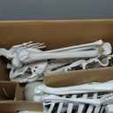 2PCS Skeletons Halloween Decorations,5.9Ft Life Size Skeletons with Movable Joints,Full Body Plastic Human Adult Skeletons for Halloween Indoor Outdoor Haunted House Decor