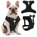 AVERYDAY Dog Tuxedo for Wedding Outfit, Dog Suit and Tie Costumes for Birthday, Halloween, Cosplay, Christmas Party, Pet Formal Wear with Bowtie, Tux for Medium Large Dogs, Bulldog, Labrador, Husky,M