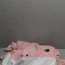 Touchat Shark Blanket for Adult Super Soft Cozy Flannel Throw Wearable Blankets, Cartoon Animals Onesie hoodie, Sleeping Bag Cosplay Costume Blanket Gifts for Shark Lovers(Pink,M) (M: for 59-63 Inch Height)