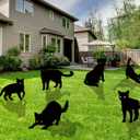 Halloween Yard Signs - 6 PCS Black Cat Decorations with Stakes for Outdoor Scary Silhouette with Glowing Eyes Waterproof Corrugated Plastic Lawn Decor