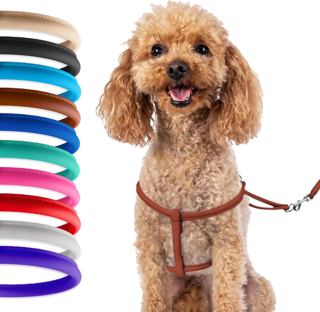 CollarDirect Rolled Leather Dog Harness Small Puppy Step-in Leash Set for Walking Pink Red White Blue Green Black Purple Beige Brown Yellow (Brown, S)