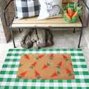 CAINANEL Buffalo Plaid Outdoor Rug Green and White Spring Door Mat Layering Rug Welcome Doormats for Spring Easter Farmhouse Entrance Porch Outdoors Decor