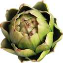 Artificial Artichoke Vegetables Wedding Party Home Decor Set of 6 (Large, Green)