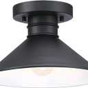 Westinghouse 6112900 Watts Creek 11 Inch Rustic/Arts & Crafts One-Light Outdoor Semi Flush Mount Ceiling Light, Dark Sky Friendly, Textured Black Finish