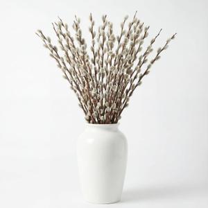 Thiccywoov 40 Stems 31.5'' Real Dried Pussy Willow Branches for Vases 100% Natural Tall Snow Pussy Willows with White Flowers Live Plant for Wedding Home Hotel Fireplace Yard Decor