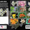 Lily Calendar 2026 Monthly Wall Calender 12 Month Flower Gifts | American Made In The USA (Lilies)