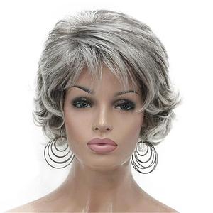 Aimole Short Curly Synthetic Wigs Full Capless Hair Women's Thick Wig for Everyday Light Gray with Dark Root (48T) 
