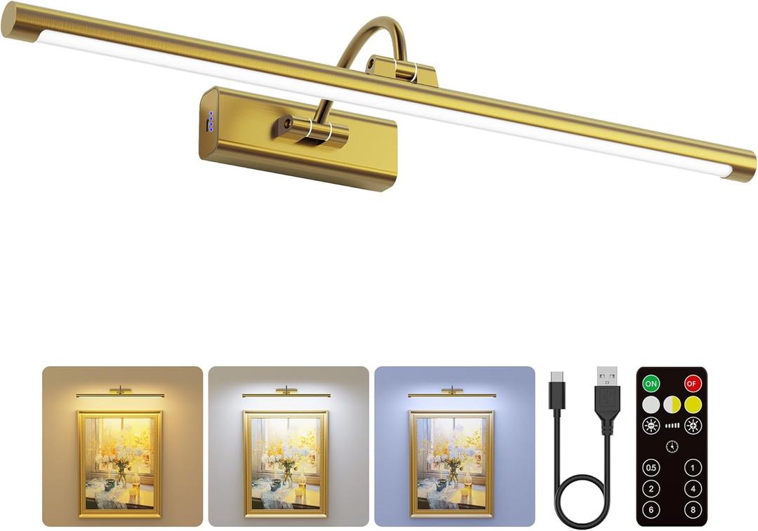 24" Picture Lights for Wall with 8000mAh Battery - Brass Operated Wireless Wall Art Light with Remote Control for Large Portrait & Paintings Art