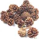 JOHOUSE 18 PCS Hanging Natural Pine Cones, Rustic Pinecones Crafts with String Fall Garland Decor Christmas Tree Ornaments Winter Vase Filler (Multi Color)
