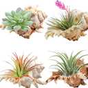 YZHZOM 4 Pack 4-5 inches Conch Shells for Decorating air Plant Holders Unique Succulent Pot Betta Fish Tank Decoration Aquarium dcor Fish House for Aquarium Beach Theme Party (No Plants)