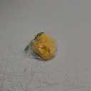 Women's T-Shirts, Yellow, Large 