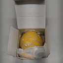 Dog Balls,The 3rd Generation Interactive Toys for Puppy/Small/Medium/Large Dogs,Improved Dog Rolling Effect Tennis Ball with Strap, Tough Motion Activated Automatic Moving Dog Toys (Yellow)