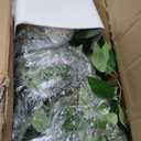 Artificial Ficus Tree 5FT Faux Floor Tree with Planter UV Resistant Potted Fake Silk Plant - Faux Trees Indoor Outdoor Lifelike Fake Ficus Tree for Home, Living Room Bedroom Topiary Tree