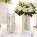 Elegant Crystal Column Vase/Candle Holder, Cylinder Flower Display Tabletop Centerpiece for Weddings & Home Decor (2, Silver)