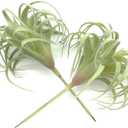 2 PCS Artificial Succulents Plants Real Touch Lifelike Succulants Plants Faux Greenery Plants Garden DIY Home Office Decoration Ornament (Flocking Air Plant)