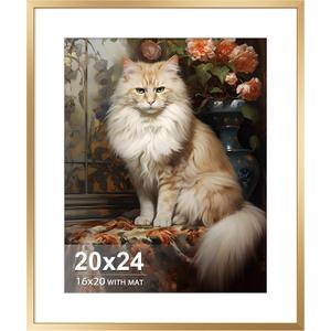 20x24 Picture Frame Rose Gold Aluminum Wall Frame with Real Glass, 16x20 Frame with Mat or 20 x 24 Without, Large Metal Poster Frames for Horizontal or Vertical Display