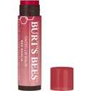 Burt's Bees Lip Tint Balm Valentines Day Gifts with Long Lasting 2 in 1 Duo Tinted Balm Formula, Color Infused with Hydrating Shea Butter for a Natural Buildable Finish, Fiery Red Dahlia (2-Pack)