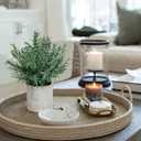 2 Pack Small Fake Plants Rosemary Potted Artificial Plants for Shelf Desk Home Bathroom Farmhouse Room Coffee Table Decor (Green)