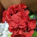 6Pcs White and 9 Pcs Red Silk Hydrangea Artificial Flowers, 20Inch Large Halloween Christmas Lifelike Flowers for Indoor Bouquet Table Centerpieces Floral Arrangements Home Wedding Home