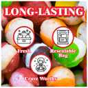 NORTHLANDZ Freeze Dried Candy | RAINBOW CRUNCH ORIGINAL | -42C Freeze-Dried | Assorted Sweet Fruit Flavors | 1.5oz/each| Light & Crunchy Snack | Unique Candy Experience (EXP 10/01/26)