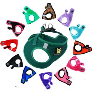 EcoBark Step in Dog Harness - Eco-Friendly Teacup Dog Harnesses for XXS, XS, and Small Breed Dogs - Reflective and Adjustable Mini Body Halter Vest -Tiny Soft Mesh Toy Breed Harness (Forest Green, XS) (XS- 5 to 6 lbs- Chest Up to 13 in (Pack of 1)) Green