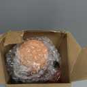 12 Pcs Cheetah Party Plastic Cups with Lid Straw 24 oz Plastic Drink Cups Reusable Bulk Leopard Tumblers for Cheetah Theme Party Favors Birthday Gifts Animal Print Decorations