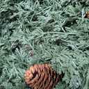 24 inch Christmas Wreath for Front Door, Real Touch Cedar Wreath with Pinecones Large Christmas Door Wreaths Artificial Hanging Pine Wreath for Xmas Indoor Outdoor Windows Holiday Decorations