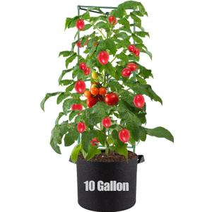 Tomato Cages with Grow Bags - 50 Inches Tomato Trellis for Raised Garden Bed, 1-Pack Tomato Plant Support, with 10 Gallon Plant Grow Bags, Reusable and Height Adjustable