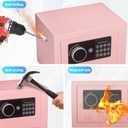 Digital Electronic Money Safe, Steel Security Lock Box with Keypad, Office Hotel Business Jewelry GunCash Safe, 0.23 Cubic Feet, 9.06" W x 6.69" D x 6.69" Hpink