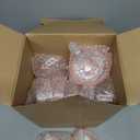 24 Pcs Ribbed Martini Glasses 10 oz Disposable Plastic Vintage Ribbed Coupe Glasses Unbreakable Dessert Parfait Glassware for Wedding Birthday Party Supplies (Champagne Powder)