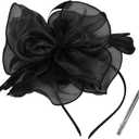 2025 Derby Hair Clip for Women Fascinators Hats for Women Outfits Tea Party Wedding Fascinator Headband (Black)