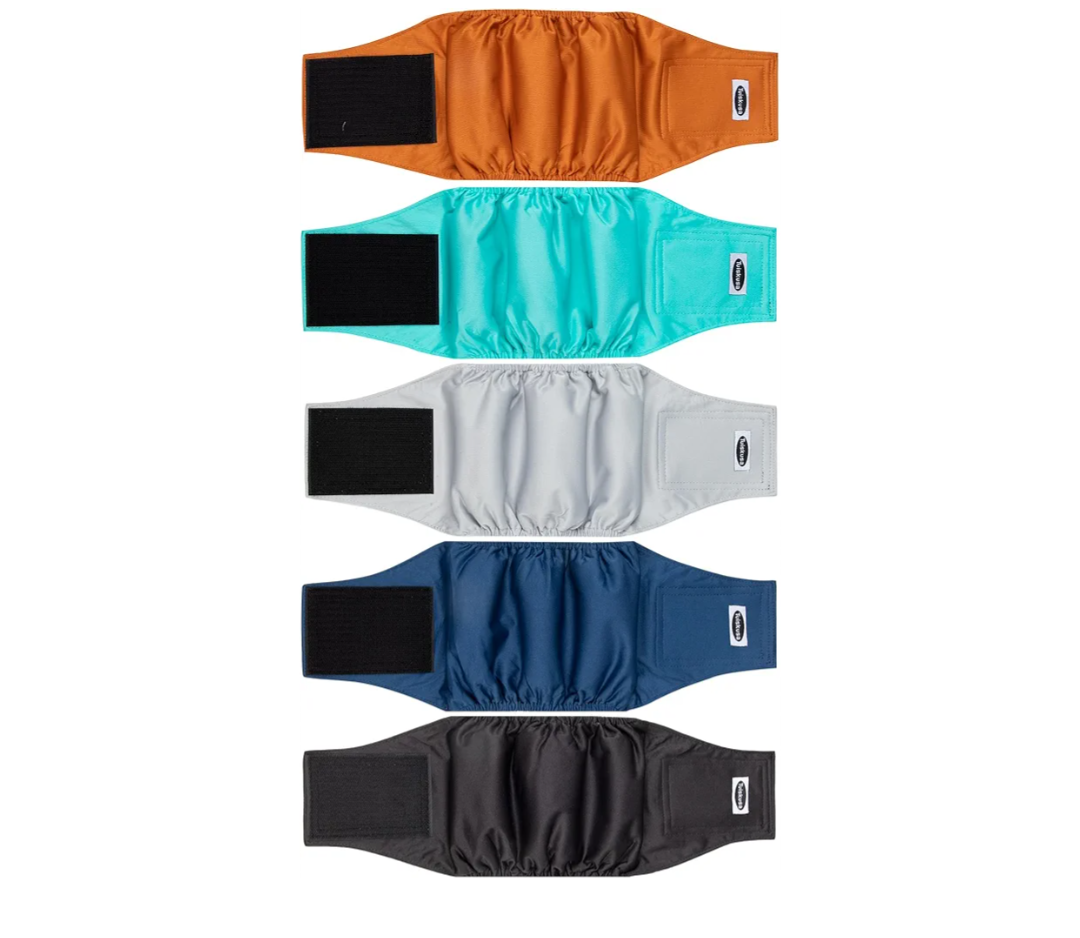 Male Dog Diapers, High Absorbing Dog Belly Bands (5 Pack) XXL