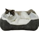 Luxury Square Grey Cat & Dog Bed - Soft Washable Animal Pet Beds with Anti-Slip & Water-Resistant Bottom, Perfect for Indoor Small Dogs & Cats, Kittens & Puppies