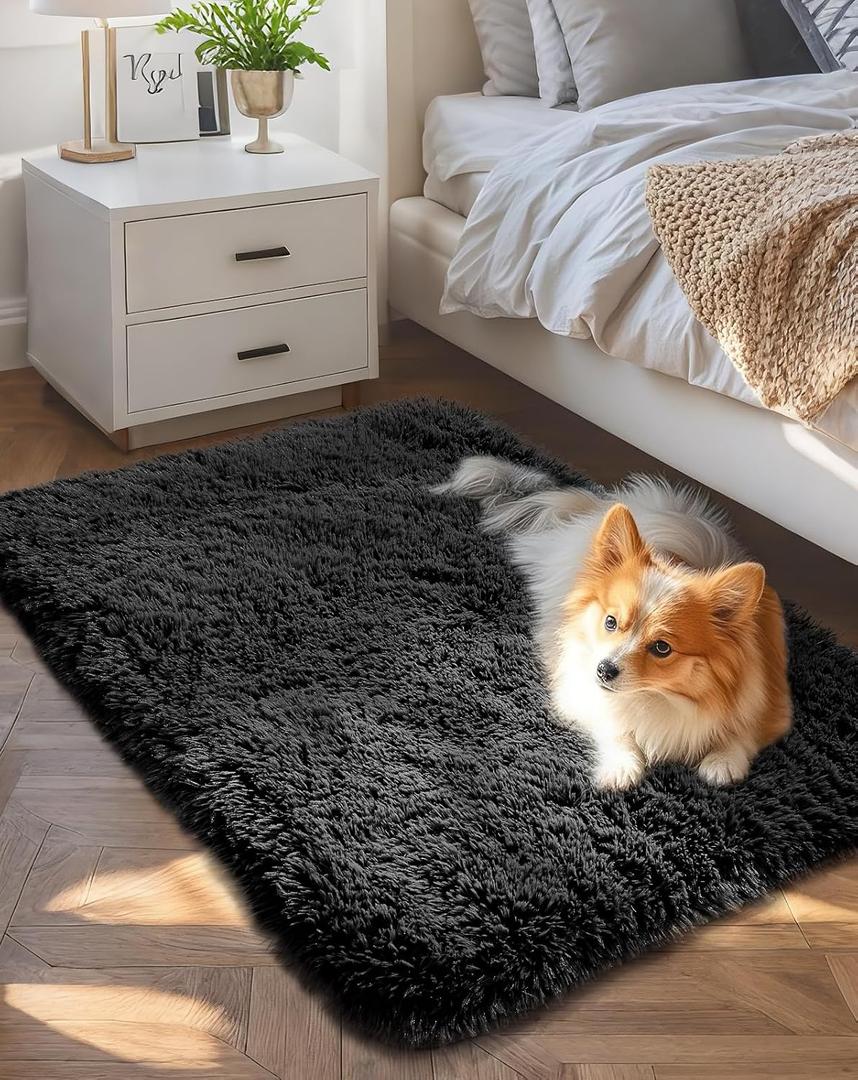 Ophanie Small Black Entryway Throw Rugs for Bedroom, 2x3 Mini Area Rug, Affordable Non Slip Fluffy Carpet, Fuzzy Soft Living Room Rugs, Home Decor Aesthetic, Nursery