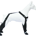 BAYANKALA Dog Suspender Booties, 2026 New Waterproof Adjustable Dog Paw Leggings, AntiSlip Boots for Dogs, Snow, Rain, Hiking, and Winter Protection, XL Size, Paws Protector for Active Dogs