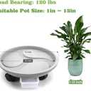Looca Plant Caddy with Wheels and Drainage Tray, 13Rolling Plant Stand Flower Pot Mover, Planter Caddies Round Plant Dolly for Heavy Duty Planter, 3 Pack, Bearing 120 lbs (Grey)