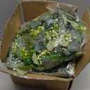 Sggvecsy 6 Pack Artificial Eucalyptus Garland Eucalyptus Leaves Vines Greenery Garland Faux Silver Dollar Eucalyptus Leaves for Table Party Wedding Indoor Outdoor Home Mantle Wall Decor