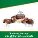 Russell Stover Sugar-Free Assorted Chocolate Caramels, 1.1 Pound (Pack of 1) (EXP 01/01/26)