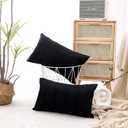 NiNi ALL Decorative Throw Pillow Covers Pack of 2 Velvet Throw Pillow Cases for Couch Sofa Bed Car Office Pillows Cover Bedroom Living Room Outdoor Black Pillow Covers 12x20 Inch