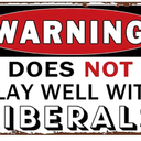 Pack of 3, YOYI ART Does Not Play Well With Liberals - Funny Vintage Metal Tin Sign for Man Cave, Garage, Home Bar, Basement Wall Decor Art, Cool Gifts, 12 x 8 inch
