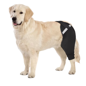 Dog Rear Leg Sleeve to Stop Licking, Upgraded Hind Leg Cover to Stop Slipping, for TPLO Surgery, Skin Conditions, Wounds, Breathable Soft Fabric, Dog Cone Alternative, Left, M, Light Black
