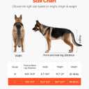 VEVOR Dog Wheelchair for Back Legs, Lightweight 2 Wheels Pet Wheelchair, Height, Width & Length Adjustable, Dog Cart with Shock-Absorbing Wheels, for Injured, Disabled Dogs 48-88 lbs, Large